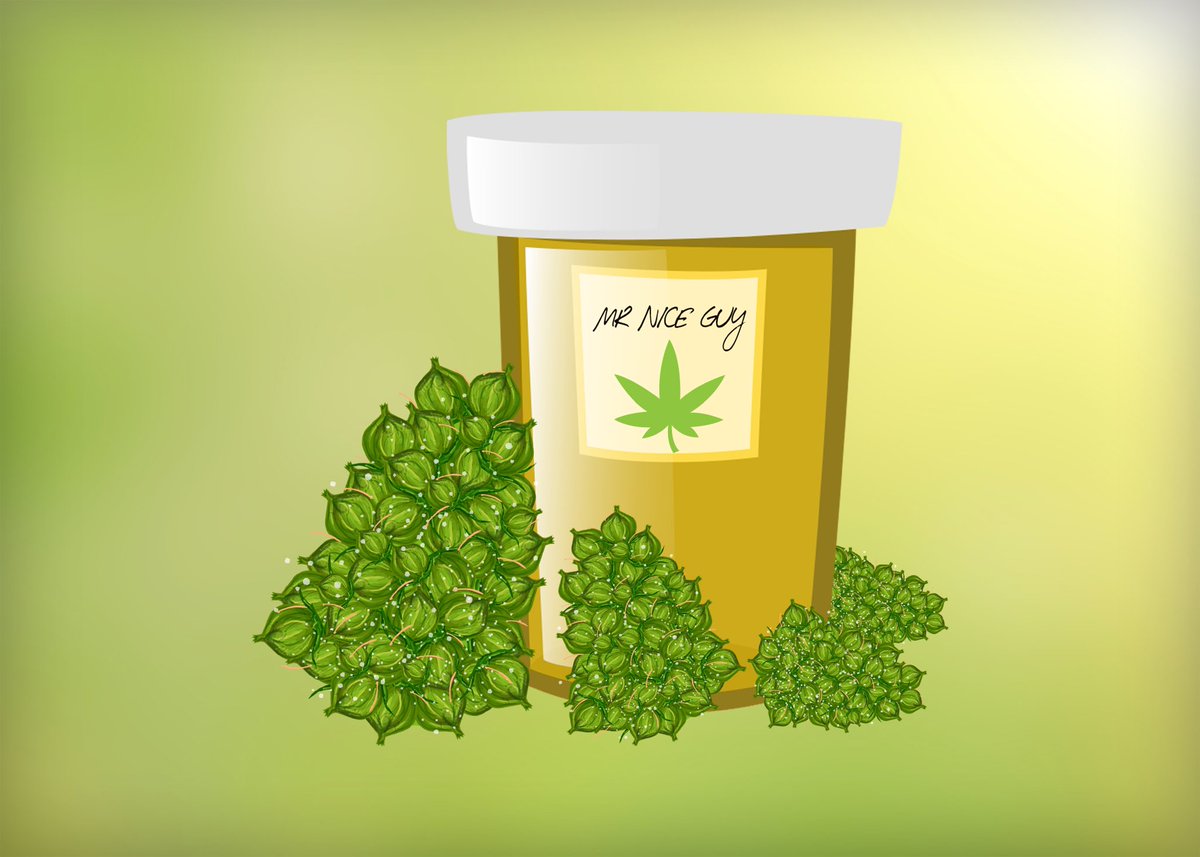 1200x857 Mat Rex On Twitter Mr Nice Guy Marijuana Bud Vector Illustration