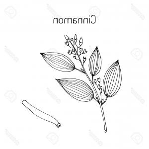 300x300 Red Rose Bud Vector Clipart Createmepink