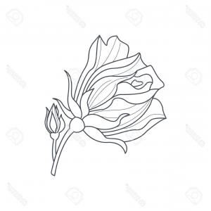 300x300 Red Rose Bud Vector Clipart Hoodamathrun