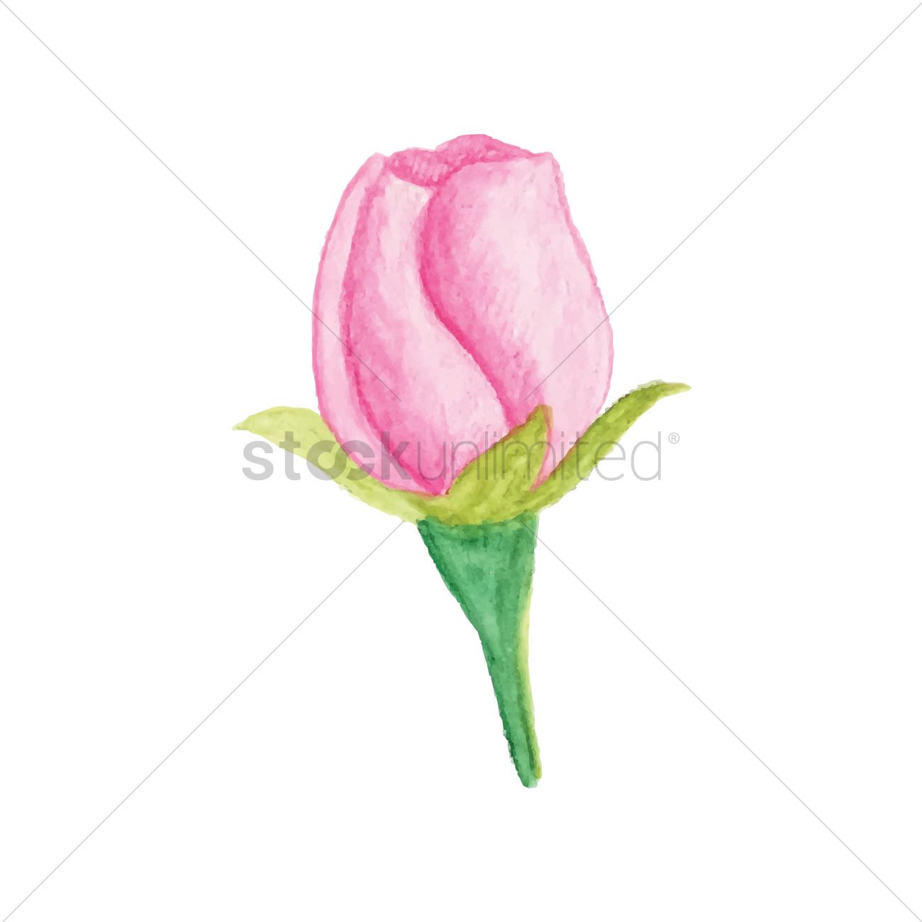 1300x1300 Rose Bud Vector Image
