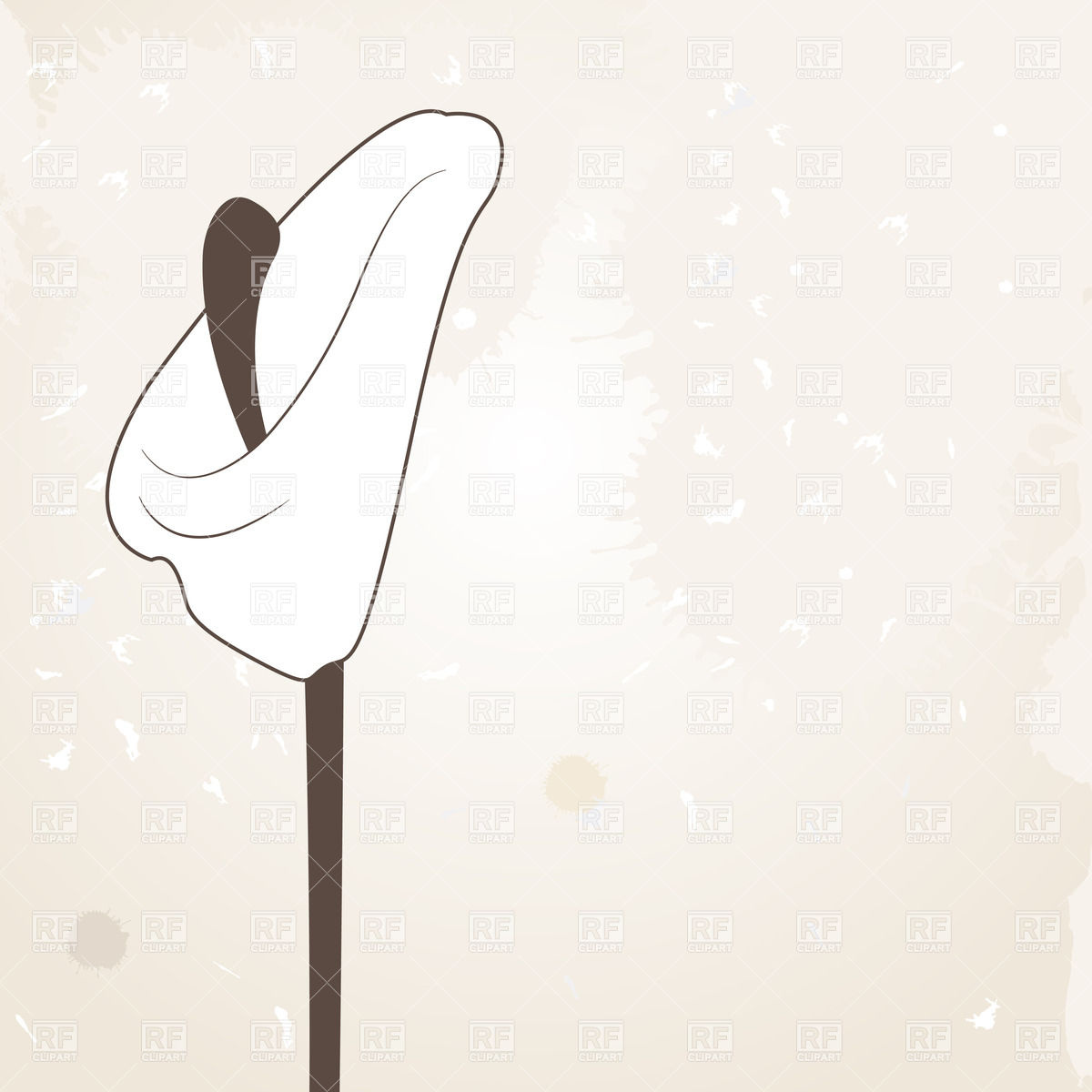 1200x1200 Simple Calla Lily Bud Vector Image Of Plants And Animals