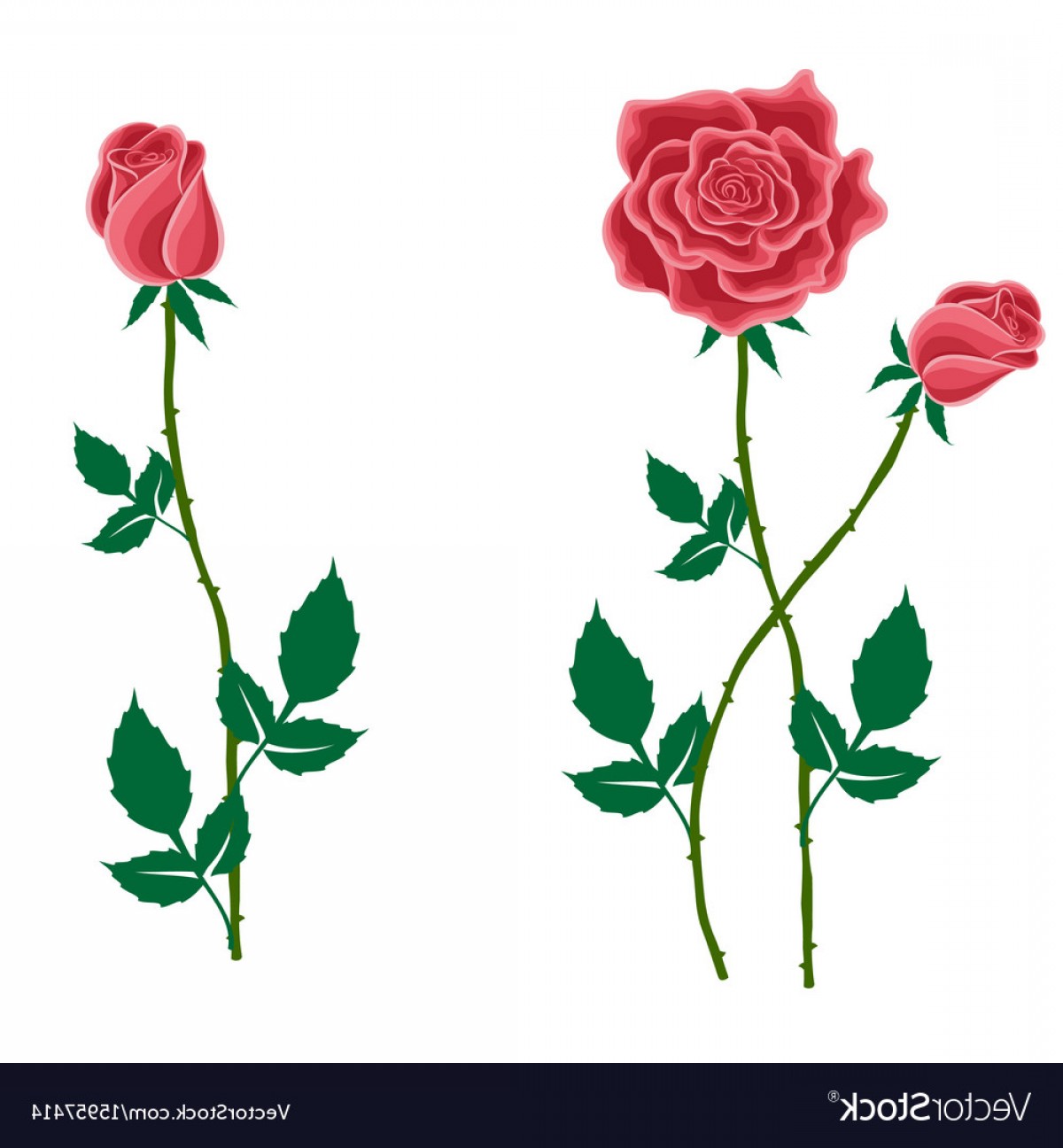 1200x1296 Vector Rose Bud Wallkeeper