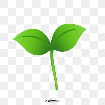 360x360 Bud Png, Vector, And Clipart With Transparent Background