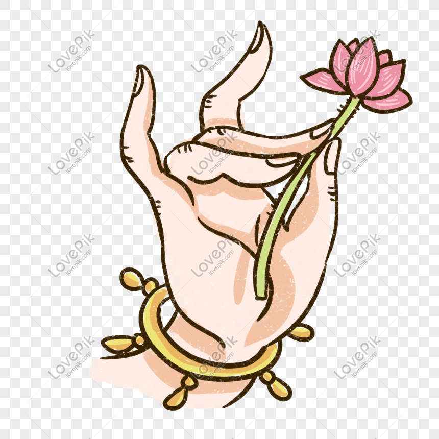 860x860 Dedo De Buda Vector Material Imagen Descargar Prf