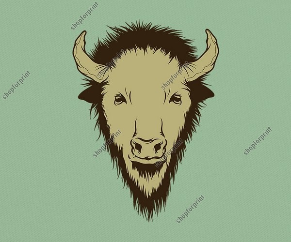 Buffalo Head In Several Vector Formats 600x500 Buffalo Head In Several Vector Formats