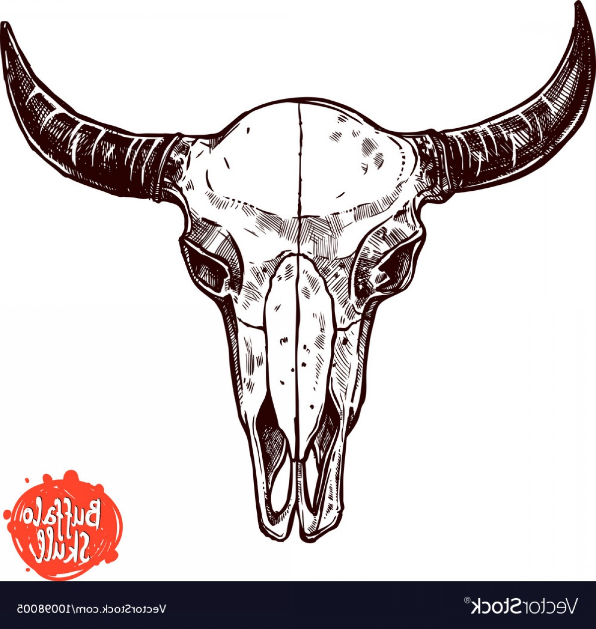 Buffalo Skull Hand Drawn Scetch Vector Cqrecords 1200x1266 Buffalo Skull Hand Drawn Scetch Vector Cqrecords