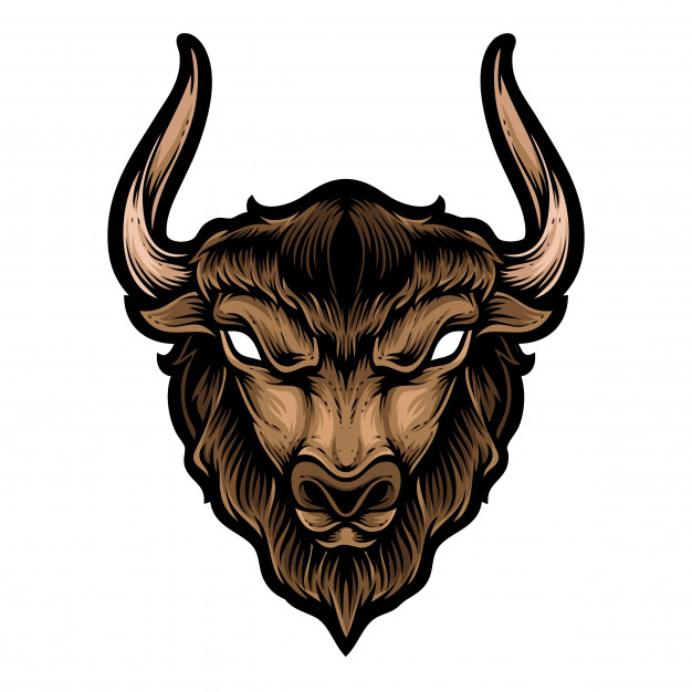 Buffalo Head Vector Premium Download 626x626 Buffalo Head Vector Premium Download