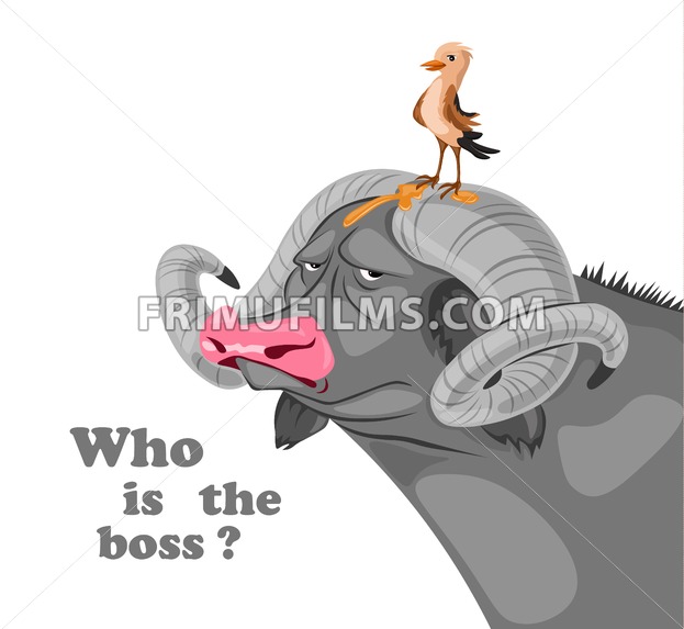 Bird Sitting On A Buffalo Head Vector Who Is The Boss Concept 623x573 Bird Sitting On A Buffalo Head Vector Who Is The Boss Concept