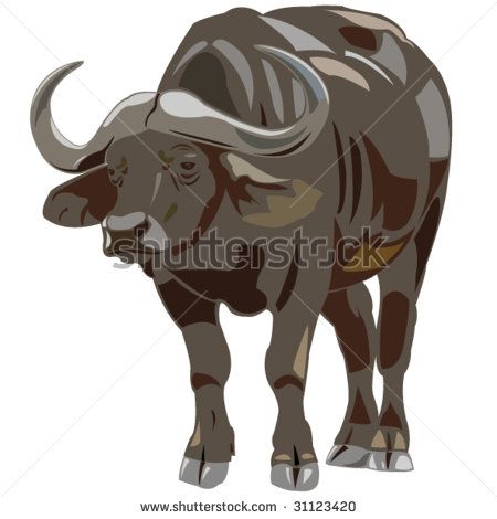 Stock Images Similar 450x470 Stock Images Similar