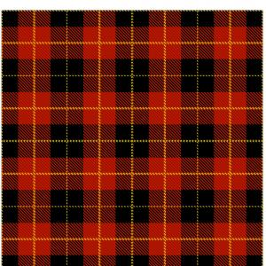 300x300 Lumberjack Tartan Buffalo Check Plaid Vector Catchsplace
