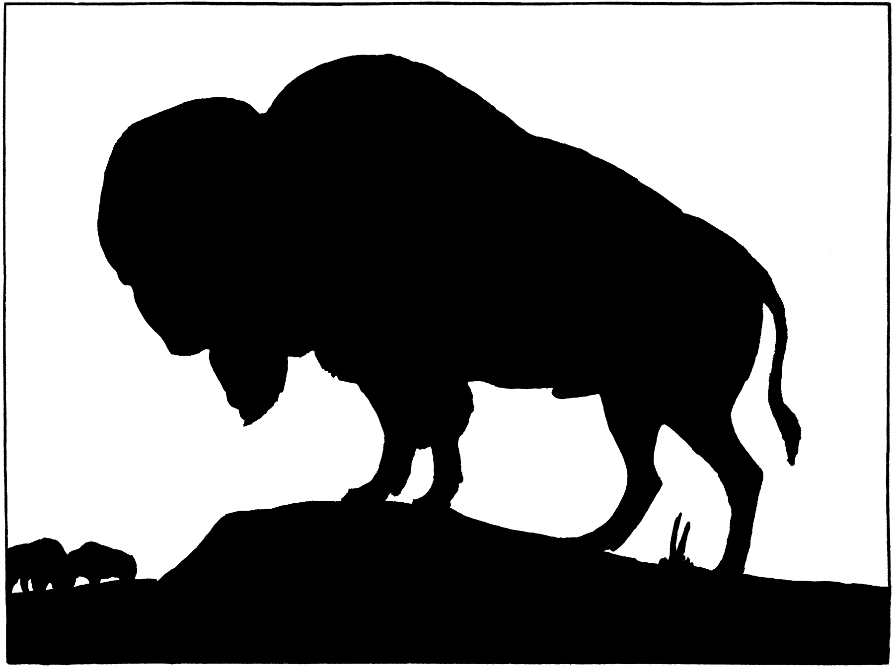 1800x1348 Buffalo Silhouette Group With Items