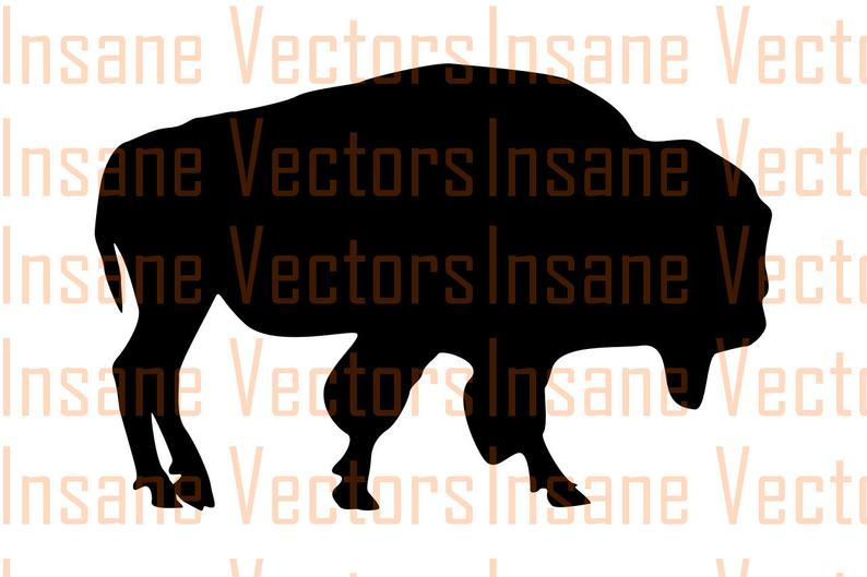 794x529 Buffalo Vector Silhouette Clip Art Image Wander Vector Etsy