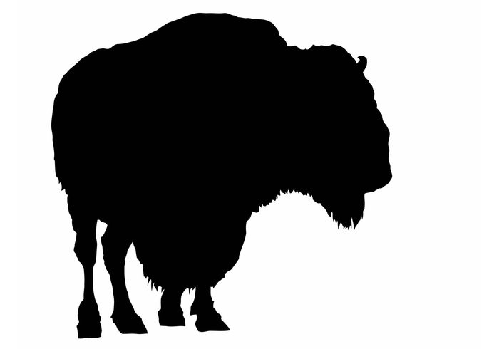 700x490 American Buffalo Vector Silhouettes
