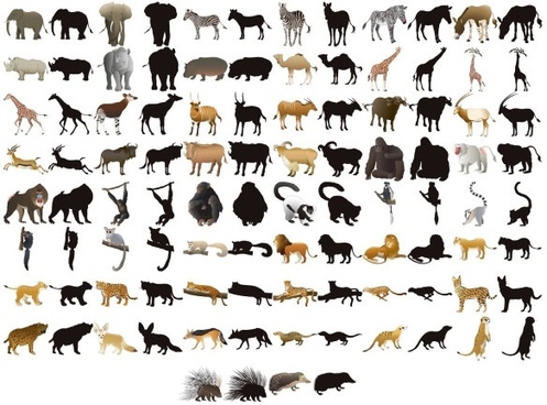 497x368 Buffalo Free Vector Download