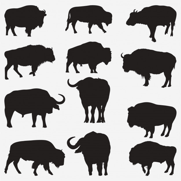 626x626 Buffalo Silhouettes Vector Premium Download