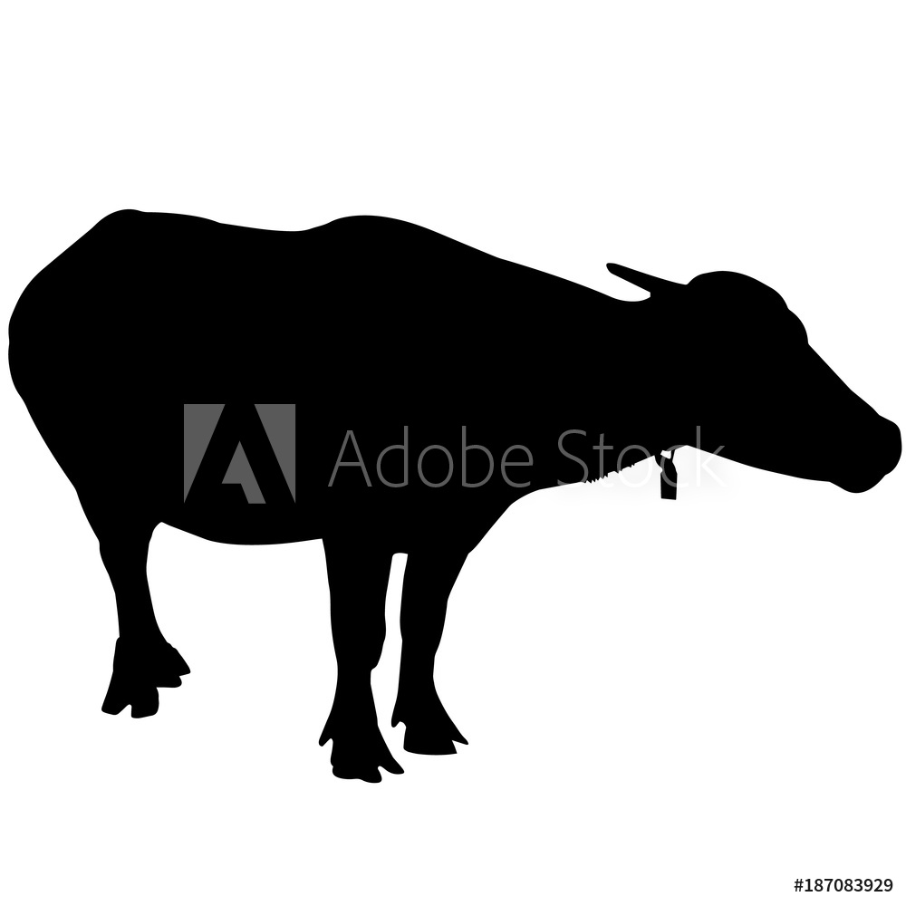 1000x1000 Photo Art Print Water Buffalo Silhouette Vector Graphics