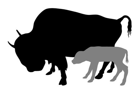 450x306 Vector Illustration Of Buffalo And Calf Silhouettes Royalty Free