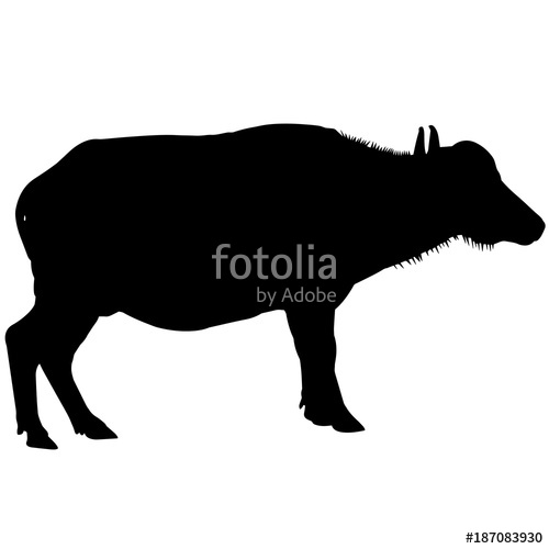 500x500 Water Buffalo Silhouette Vector Graphics Stock Image And Royalty