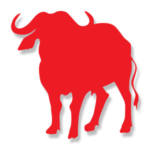 300x300 African Buffalo Silhouette Free Vector Download
