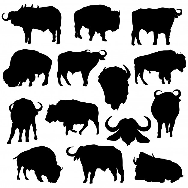 626x626 Bison Buffalo Animals Silhouette Clip Art Vector Premium Download
