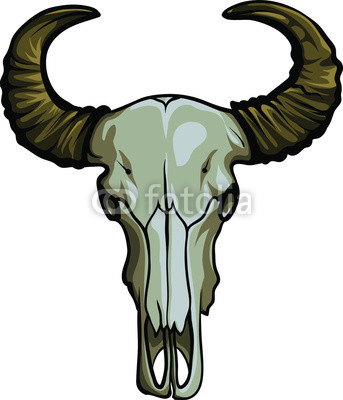Hand Drawn Buffalo Skull Native American Symbol Head Bull 343x400 Hand Drawn Buffalo Skull Native American Symbol Head Bull