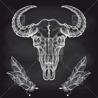 400x400 Hand Drawn Chalk Buffalo Skull And Feathers Vector Image