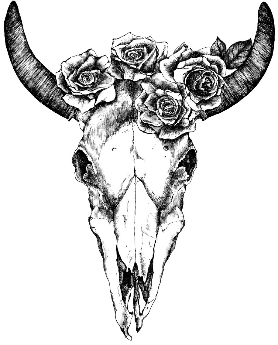 Huge Collection Of 'buffalo Skull Drawing' Download More Than 915x1136 Huge Collection Of 'buffalo Skull Drawing' Download More Than