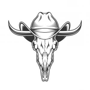 Vintage Illustrations Of Longhorned Buffalo Skull Sarahgardan 300x300 Vintage Illustrations Of Longhorned Buffalo Skull Sarahgardan