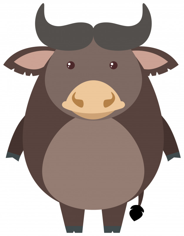 Buffalo Vectors, Photos And Free Download 626x800 Buffalo Vectors, Photos And Free Download