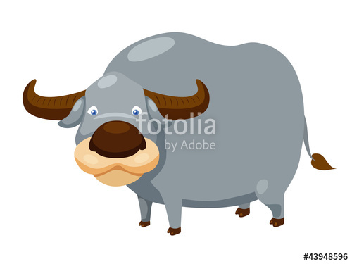 Buffalo Vector Stock Image And Royalty Free Vector 500x375 Buffalo Vector Stock Image And Royalty Free Vector