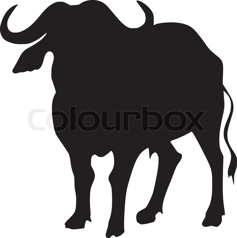 Silhouette Of African Buffalo Stock Vector Colourbox 799x800 Silhouette Of African Buffalo Stock Vector Colourbox