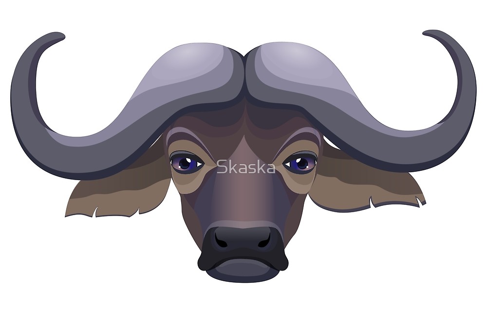 The Head Of A African Buffalo Vector Illustration 1000x674 The Head Of A African Buffalo Vector Illustration
