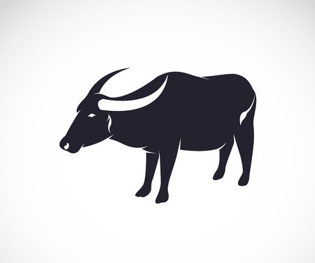 Vector Image Of An Buffalo On White Background Royalty Free 450x377 Vector Image Of An Buffalo On White Background Royalty Free