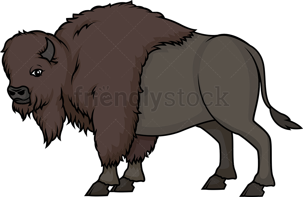 Wild Buffalo Cartoon Clipart Vector 1060x688 Wild Buffalo Cartoon Clipart Vector