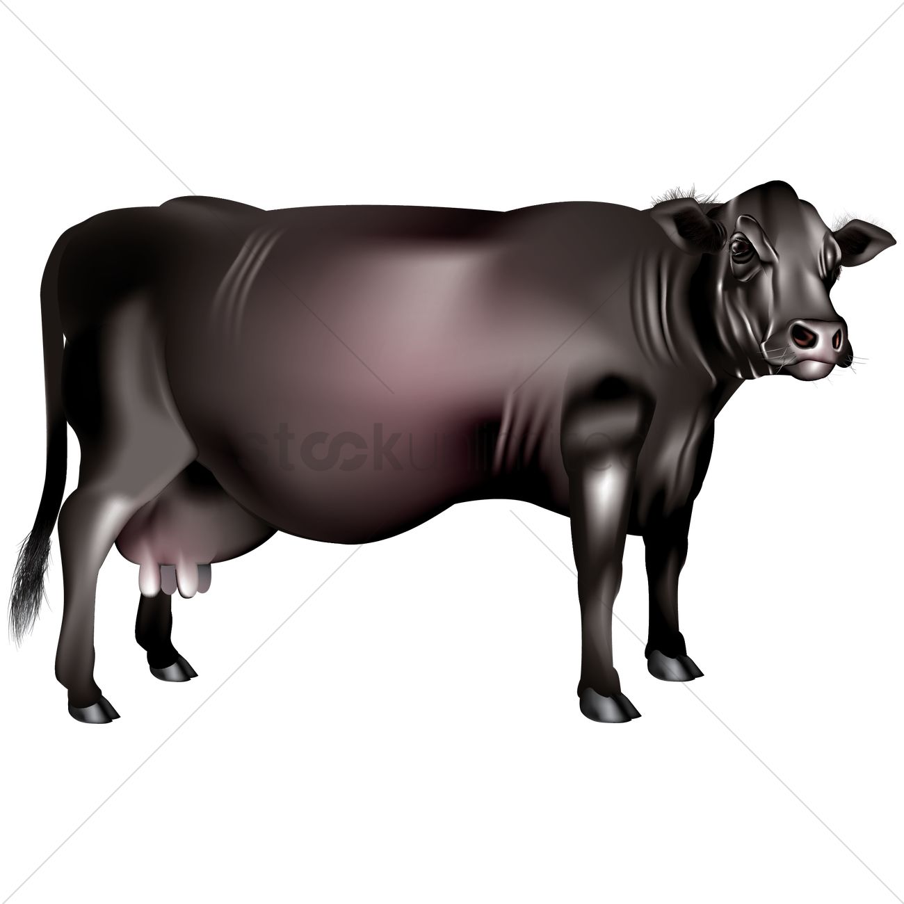 Buffalo Vector Image 1300x1300 Buffalo Vector Image