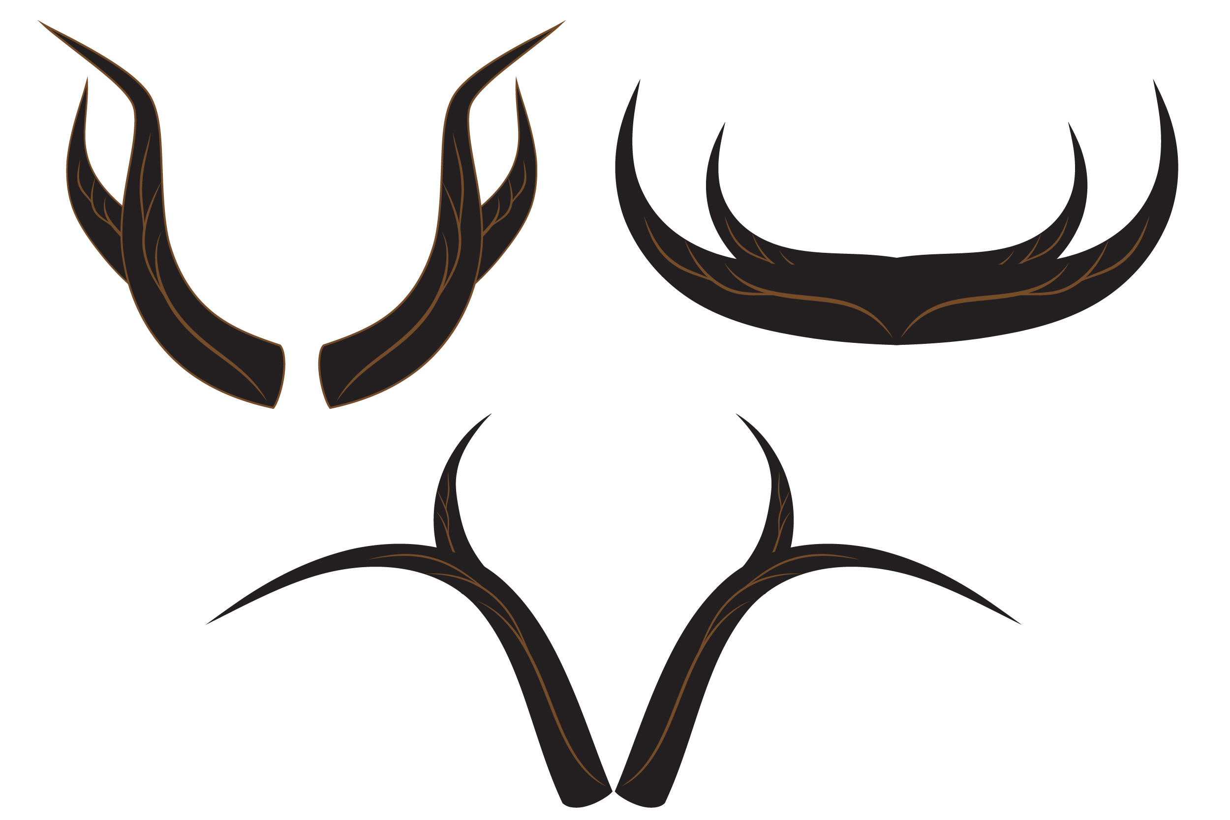 2500x1667 Buffalo Vector Horn Graphic