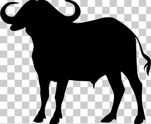 310x255 Buffalo Vector Png Images, Buffalo Vector Clipart Free Download