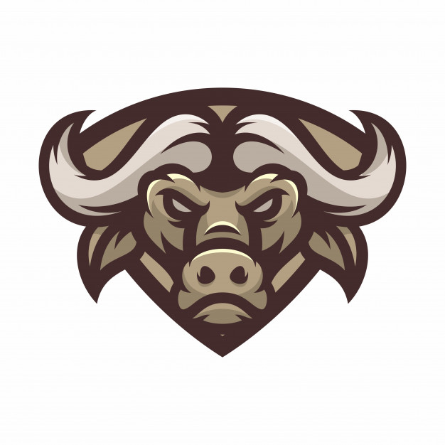 626x626 Buffalo