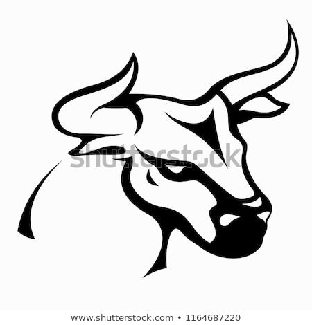 450x470 Buffalo Vector Illustration Design, For Tattoo Designs And Other