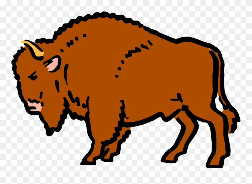 880x644 Cartoon Bison Buffalo Vector Image Illustration