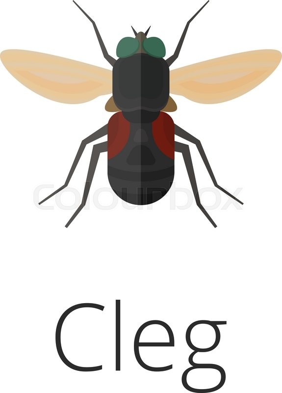 575x800 Cleg Skin Parasite Insect Bug Vector Stock Vector Colourbox