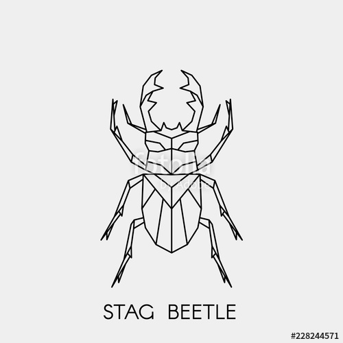 500x500 Geometric Stag Beetle Polygonal Linear Abstract Bug Vector