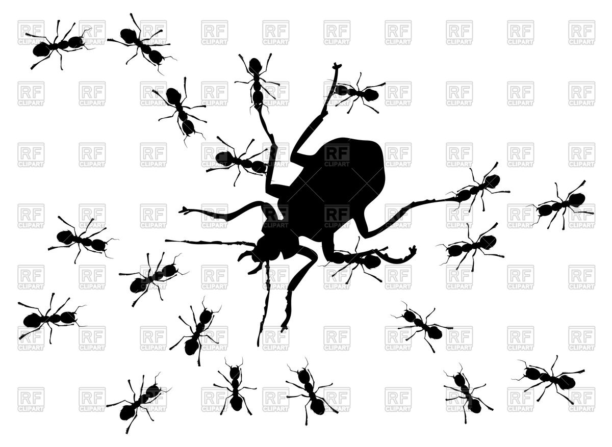 1200x877 Hunting Of Ants On Big Bug Vector Image Of Plants And Animals