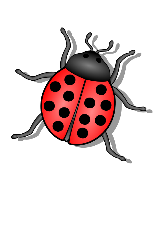 566x800 Lady Bug