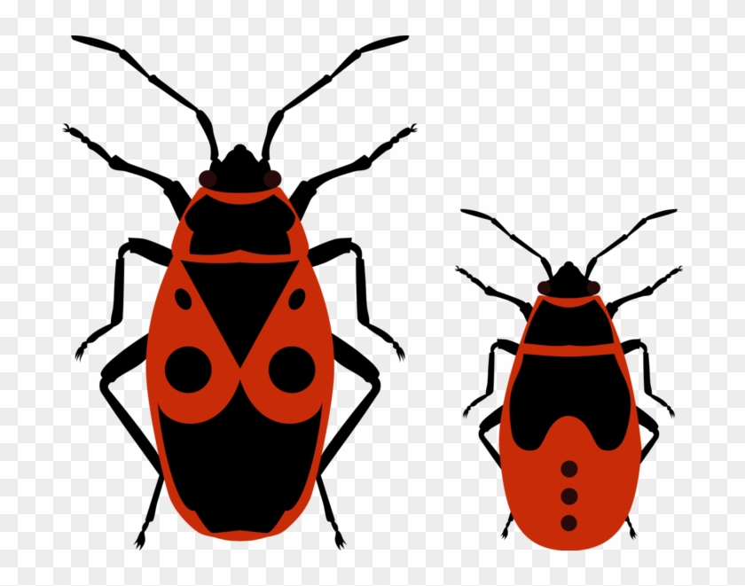 840x661 Love Bug Clip Art Clipart Best Qmvzzl Clipart