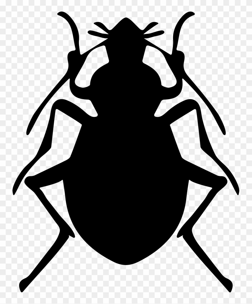 Royalty Free Download Bug Vector Stink 880x1061 Royalty Free Download Bug Vector Stink