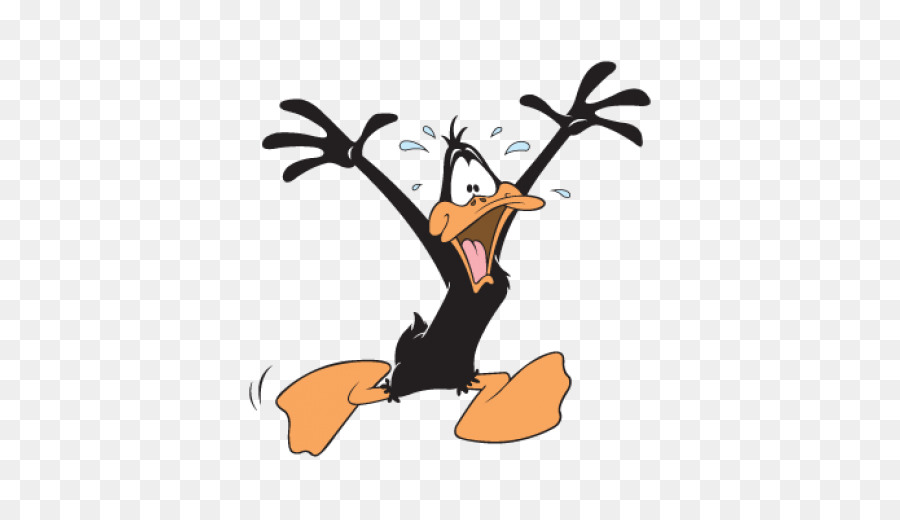 Daffy Duck Elmer Fudd Donald Duck Bugs Bunny 900x520 Daffy Duck Elmer Fudd Donald Duck Bugs Bunny