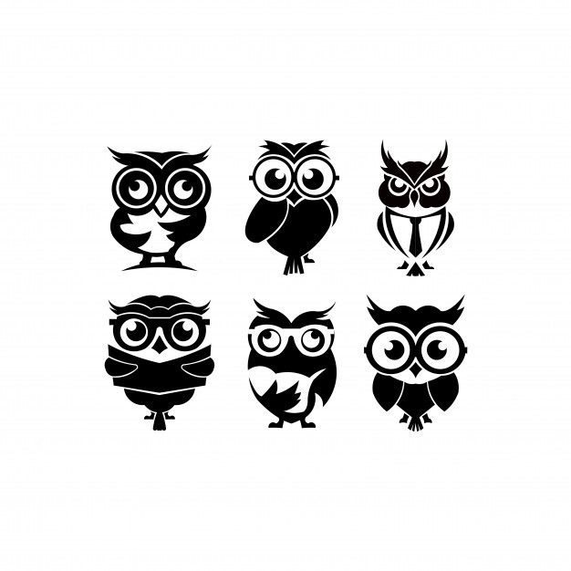 626x626 Cartoon Owl With Sunglasses