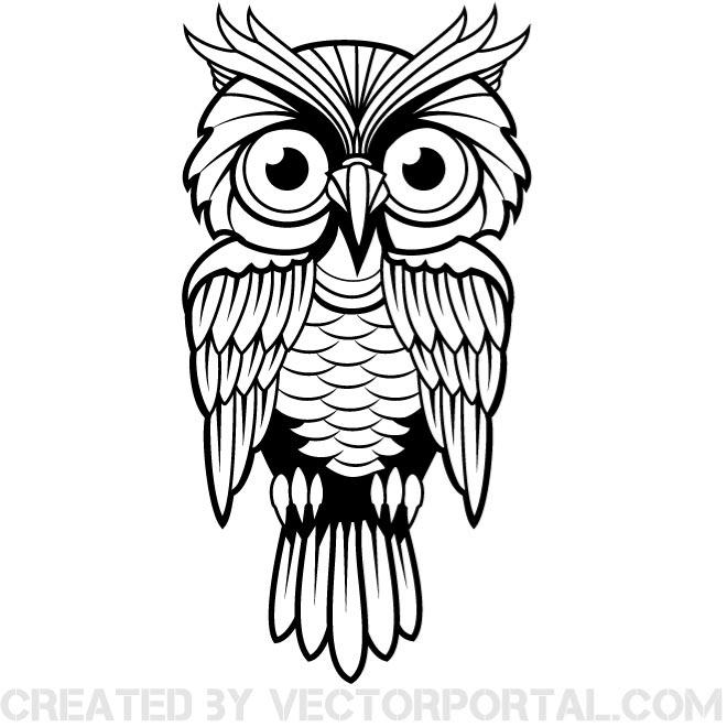 660x660 Buho Vector Clip Art Imagen
