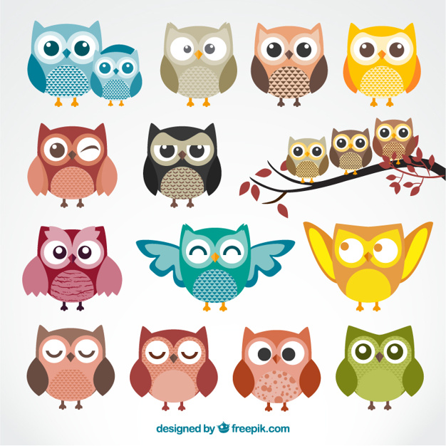 626x626 Owl Vectors, Photos And Free Download